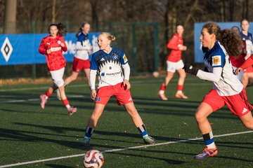 Bild 198 - wBJ Hamburger SV - Holstein Kiel : Ergebnis: 8:0